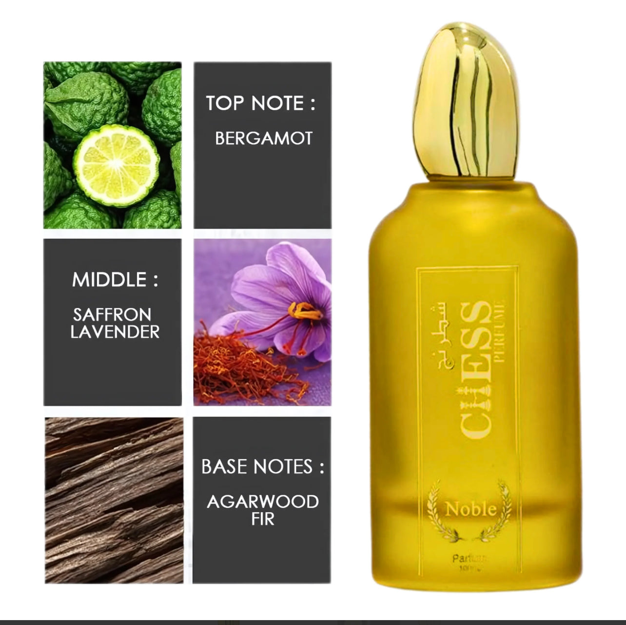 Chess Noble Eau De Parfum 100 Ml 3.4 Fl Oz Warm Elegant Scent With Sandalwood Cedar Amber Musk