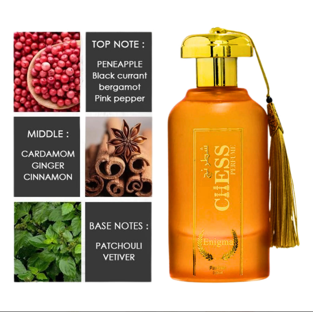 Chess Enigma Eau De Parfum 100ml 3.4 Fl Oz Intriguing Alluring Exotic Deep Scent With Spices Vanilla Patchouli Amber